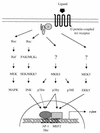 FIG. 10
