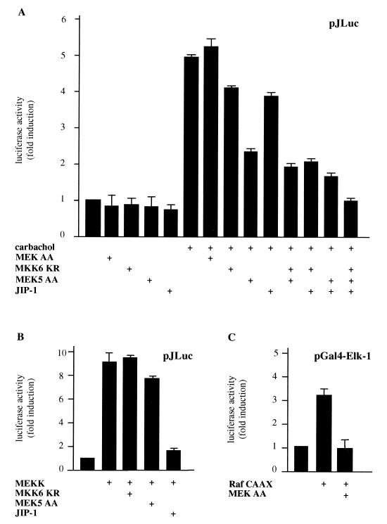 FIG. 3