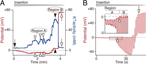 Fig. 2.