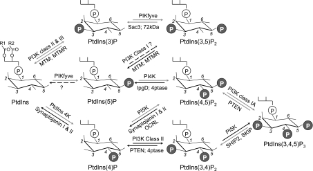 Fig. 1.