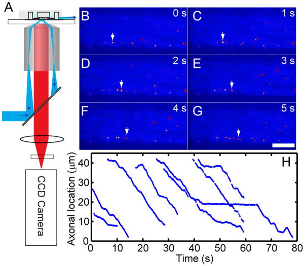 FIGURE 4