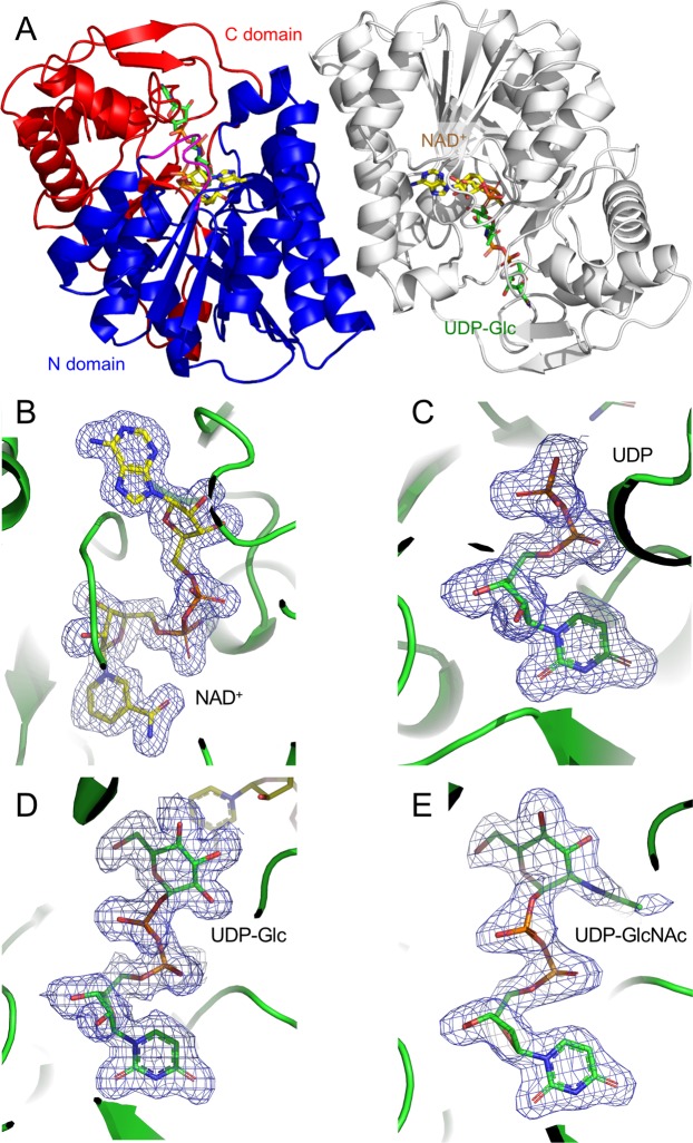 Figure 3