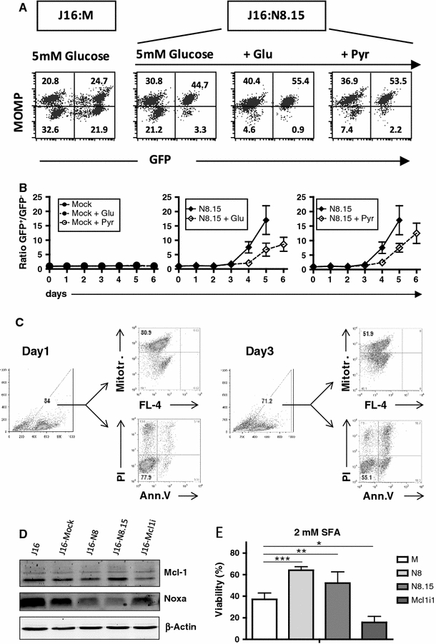 Fig. 3