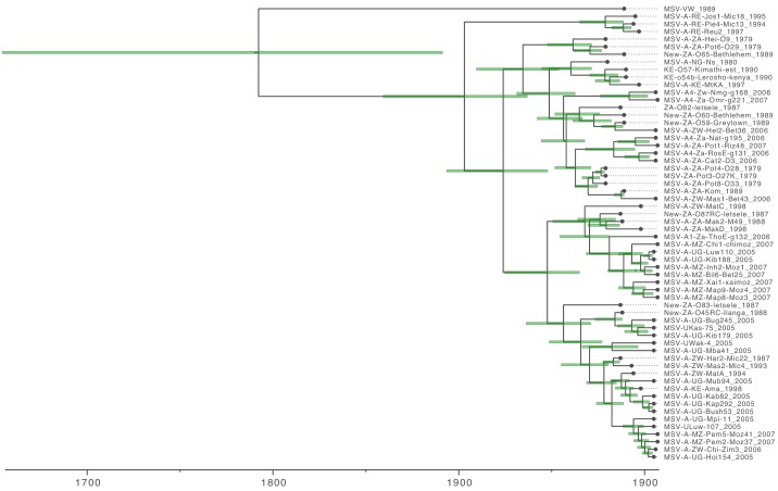 Figure 2—figure supplement 2.