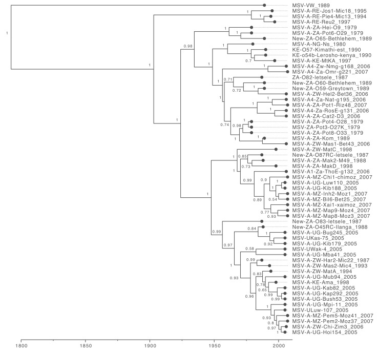 Figure 2—figure supplement 1.