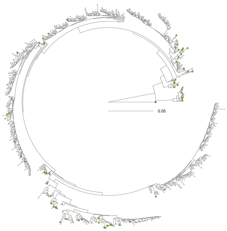 Figure 2—figure supplement 4.