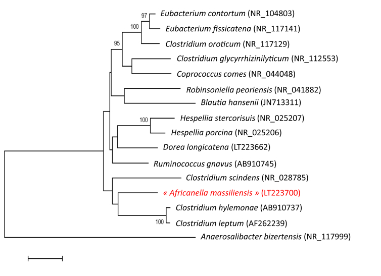 Fig. 1