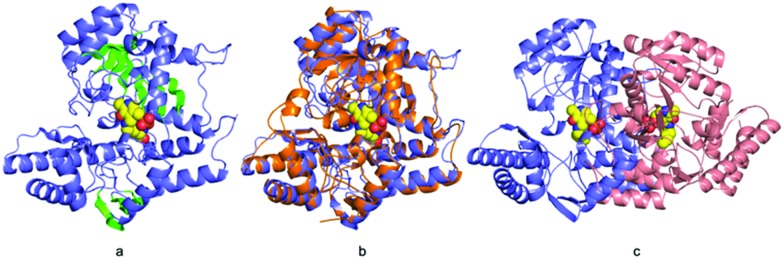 Fig. 2