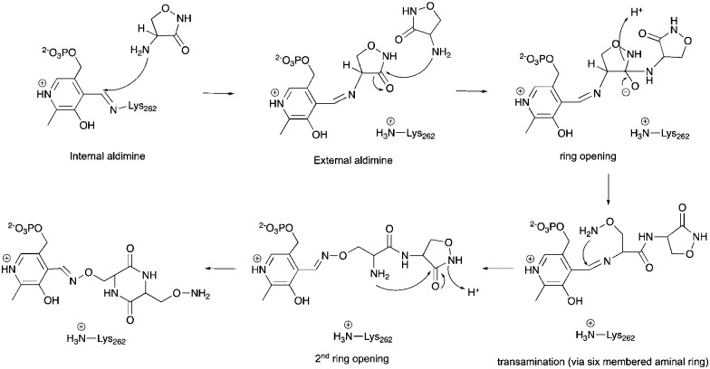 Scheme 2