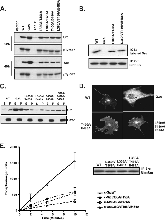 FIG. 8.