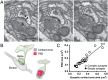 Figure 4.