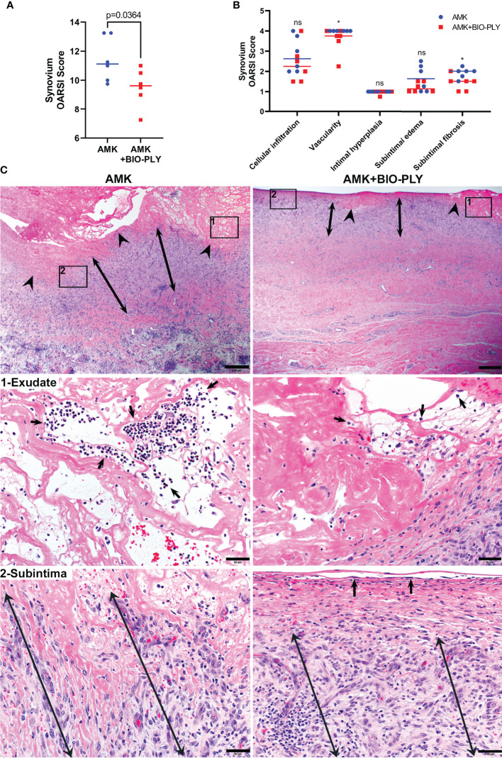 Figure 6