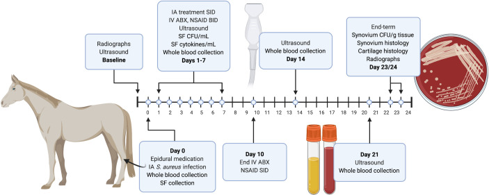 Figure 1