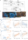 Figure 1. Digital spatial analysis. A, Schema of the endocrine therapy for PELOPS (NCT02764541). Numbers (N) represent the number of tissue samples included in the digital spatial profiling. B, Representative images of immunofluorescence staining for the regions of interest. CD45, cyan; E-cadherin, red; pan-cytokeratin, green. The magnified panels represent two ROIs; immune (#6) and invasive epithelial cells (#2). C–E, Volcano plot of log2-fold changes and adjusted P values of tests for differential protein expression comparing pre and post 24 weeks of endocrine treatment (2 weeks vs. surgical) within invasive epithelial cellular regions (C) and corresponding individual average patient trajectories for β2-microglobulin (D) and PR (E). F–H, Volcano plot of log2-fold changes and adjusted P values of tests for differential protein expression comparing pre and post 24 weeks of endocrine treatment (2 weeks versus surgical) within immune regions (F) and corresponding individual mean patient trajectories for β2-microglobulin (G) and CD4 (H). Horizontal dotted line denotes a 5% FDR threshold.