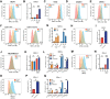 Figure 3. E2 modulates response to IFNγ stimulation. A, Histogram of MHC-I levels assessed by flow cytometry following 3 days of E2 stimulation or HD in the presence or absence of IFNγ (10 ng/mL) for the last 24 hours in MCF7 cells. B, Quantification of median fluorescence intensity (MFI) of MHC-I from A. Values are normalized to E2 stimulation with vehicle control (no IFNγ) cells. C–E, MHC-I levels assessed by flow cytometry following 3 days of E2 stimulation or HD in the presence or absence of IFNγ (10 ug/mL) for the last 24 hours in ER+ T47D cells (C), CAMA1 cells (D), and ZR75.1 (E). F and G, Histograms (F) and MFI quantification (G) of MHC-I levels following 3 days of E2 stimulation or HD in the presence or absence of IFNγ (10 ng/mL) for the last 24 hours in MCF7 cells expressing the ESR1 Y537S mutation induced by DOX treatment cells. Two-way ANOVA. H, Histogram of MHC-I levels assessed by flow cytometry following 3 days of vehicle or fulvestrant (10 nmol/L) treatment in the presence or absence of IFNγ (10 ng/mL) for the last 24 hours in MCF7 cells. I, MFI quantification of MHC-I from H. Values are normalized to vehicle control (no IFNγ) cells. Error bars, mean ± SD of at least two replicates. *, P < 0.05, paired t test. J, Histogram of MHC-I levels assessed by flow cytometry following 3 days of E2 stimulation or HD in the presence or absence of IFNγ (10 ng/mL) for the last 24 hours in ER-negative MDA-MB-231 cells. K, MFI quantification of MHC-I from J values is normalized to E2 stimulation (no IFNγ) cells. L, MFI quantification of MHC-I levels assessed by flow cytometry of cells grown in HD, E2 conditions, or treated with fulvestrant or DMSO for 72 hours in the absence of IFNγ (no IFNγ) or with a 15-minute treatment of IFNγ (10 ng/mL) 24 hours prior flow analysis (Pulse) or for the last 24 hours (continuous, cont) prior to flow cytometry analysis. M, PD-L1 levels assessed by flow cytometry following 3 days of E2 stimulation or HD in the presence or absence of IFNγ (10 ng/mL) ×24 hours in MCF7 cells. N, MFI quantification of MHC-I from M. O, PD-L1 levels assessed by flow cytometry following 3 days of vehicle or fulvestrant (10 nmol/L) treatment in the presence or absence of IFNγ (10 ng/mL) ×24 hours in MCF7 cells. P, MFI quantification of MHC-I from O. *, P < 0.05. Q, MFI quantification of PD-L1 levels assessed by flow cytometry after treatment for 72 hours in the absence of IFNγ (no IFNγ), with a 15-minute treatment of IFNγ (10 ng/mL) 24 hours prior to flow cytometry analysis (Pulse) or for the last 24 hours (cont) prior to flow cytometry analysis. Statistics for the panel, if not mentioned differently, are ***, P < 0.001; n.s., not significant. Error bars, mean ± SD of at least two replicates. Two-way ANOVA.