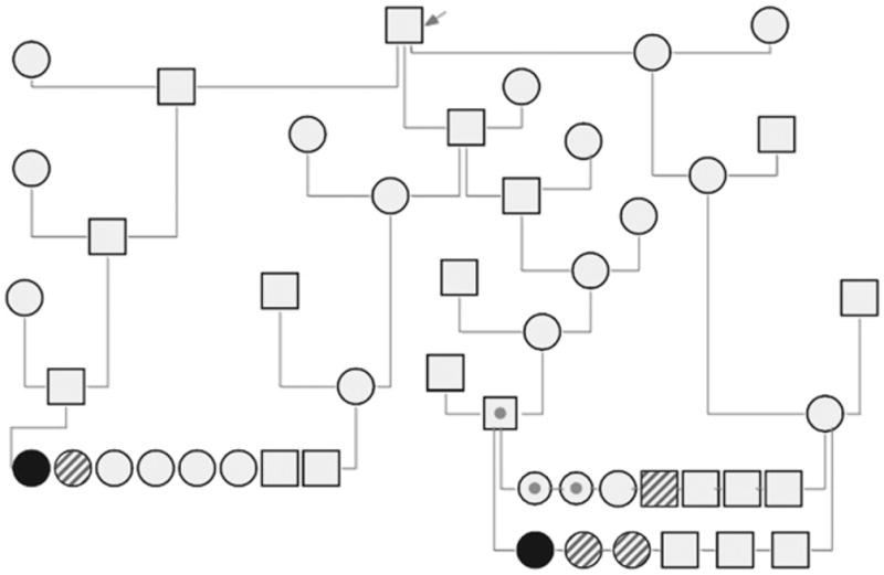 FIGURE 1