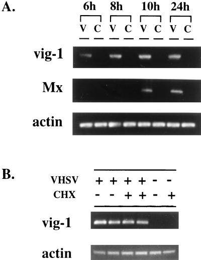 FIG. 6