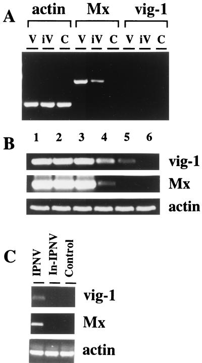 FIG. 7