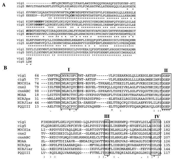 FIG. 8