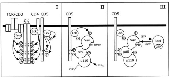 FIG. 9