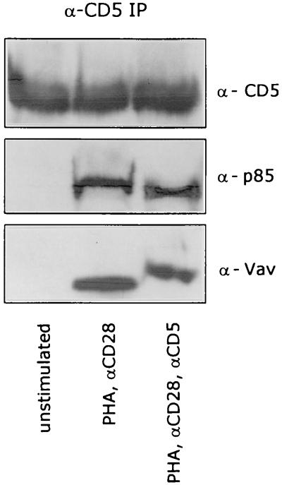 FIG. 8