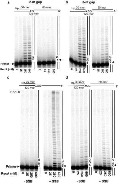 Fig 4.