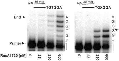 Fig 2.