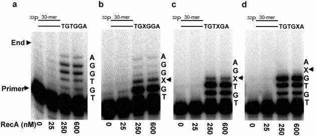 Fig 1.