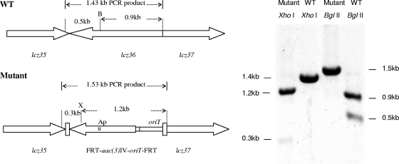 FIG. 2.