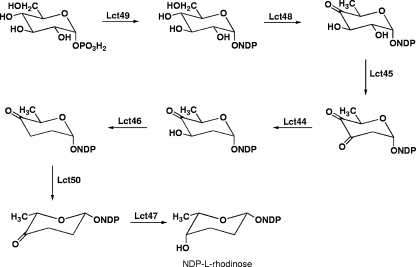 FIG. 7.