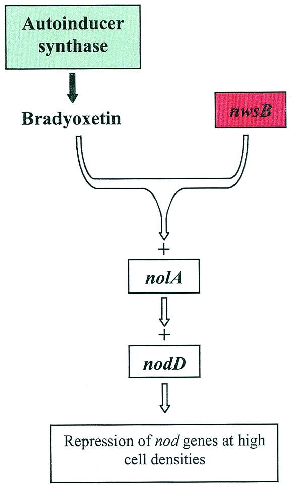 FIG. 8.