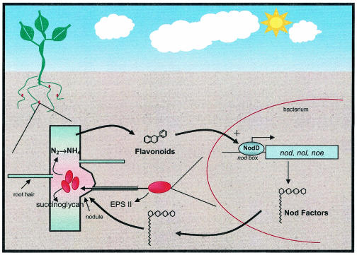 FIG. 2.