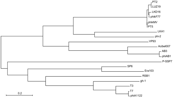 Figure 7