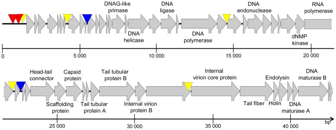 Figure 6