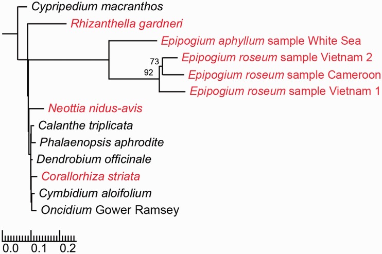 Fig. 2.—