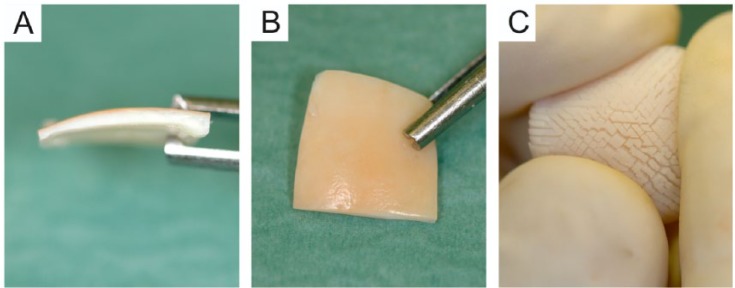 Figure 3.