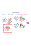 Fig 3.