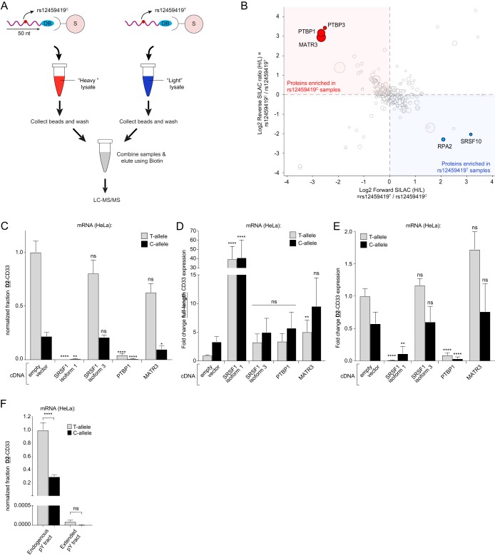 FIG 6