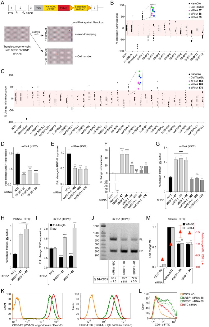 FIG 2