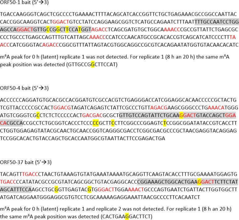 Figure 3—figure supplement 1.