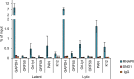 Figure 7—figure supplement 3.