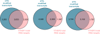 Figure 4—figure supplement 2.