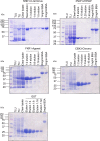 Figure 3—figure supplement 5.