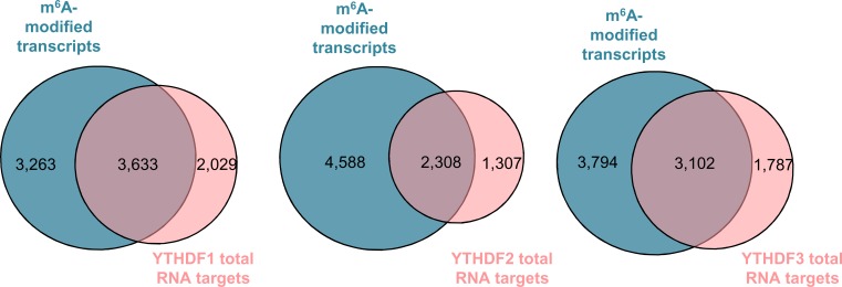 Figure 4—figure supplement 2.