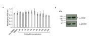 Figure 8—figure supplement 1.