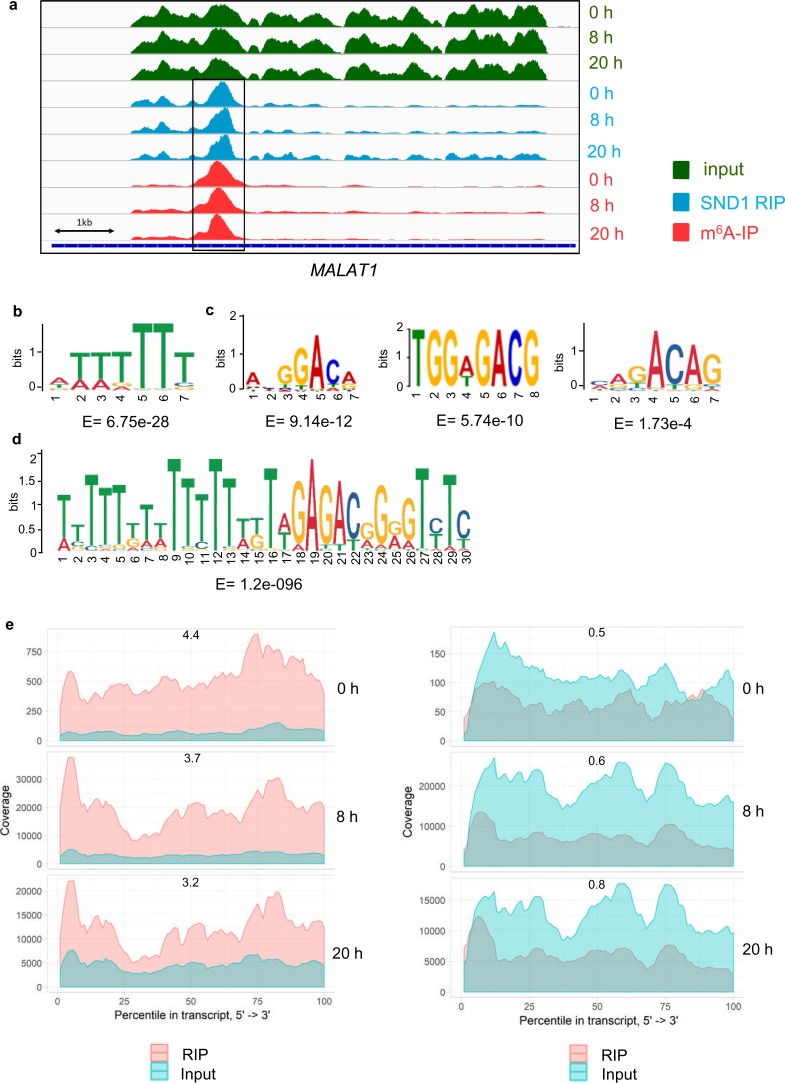 Figure 4—figure supplement 3.