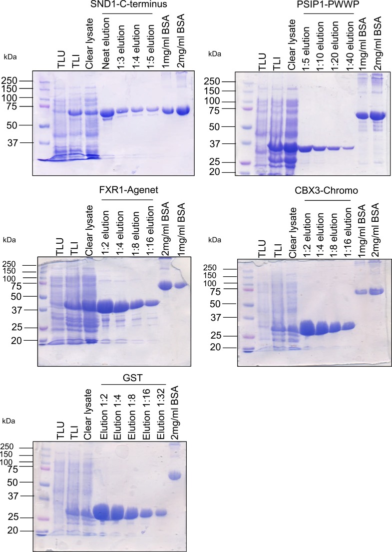 Figure 3—figure supplement 5.