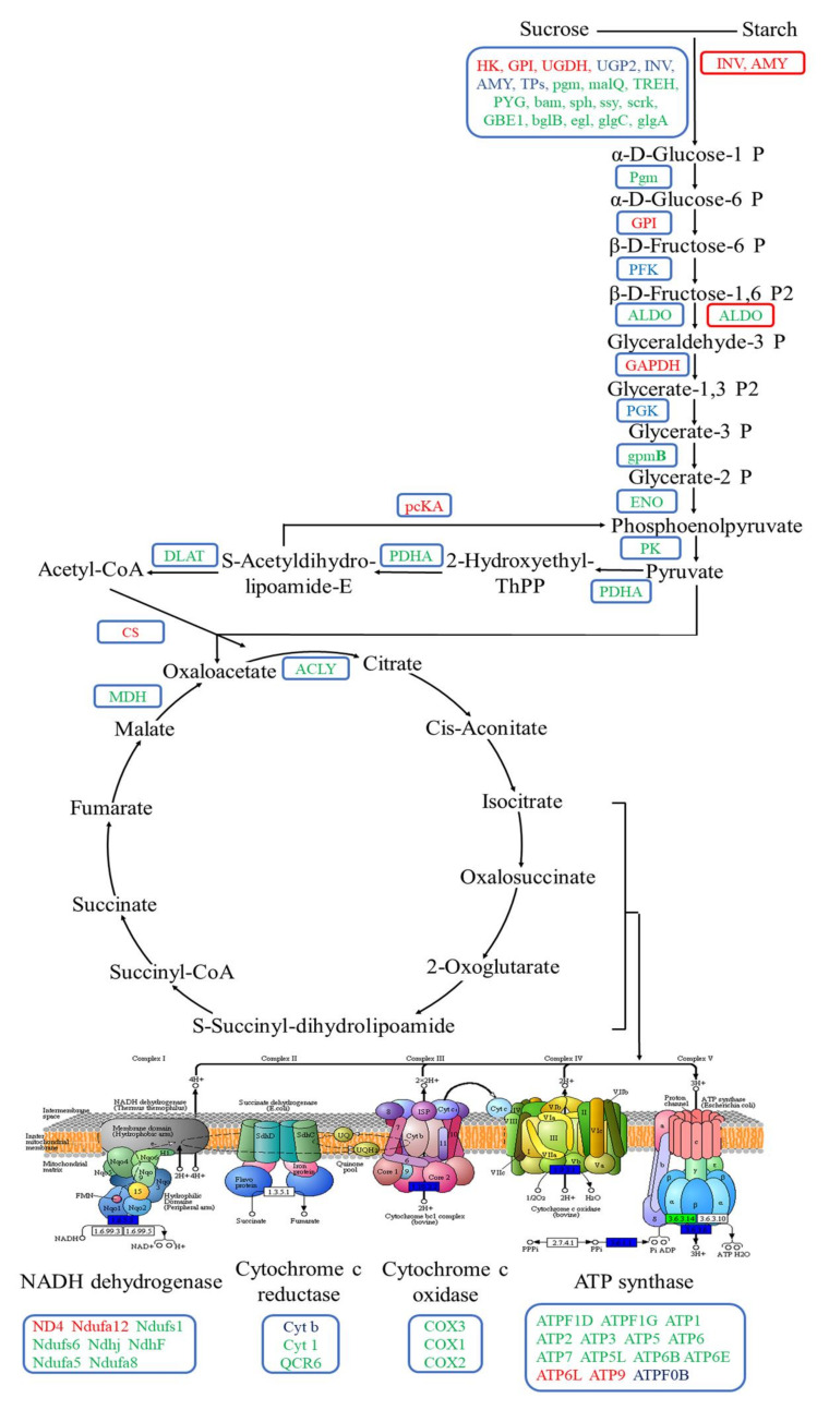 Figure 9