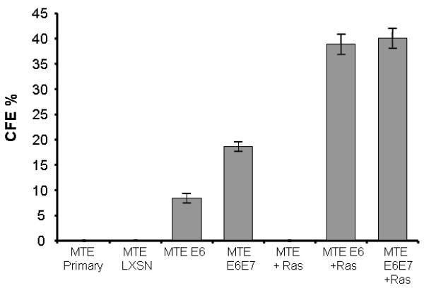 Fig 5