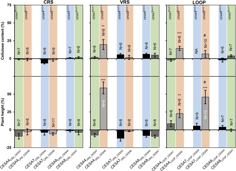 Figure 6.